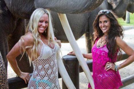 Billabong Girls Bali trip with elephant